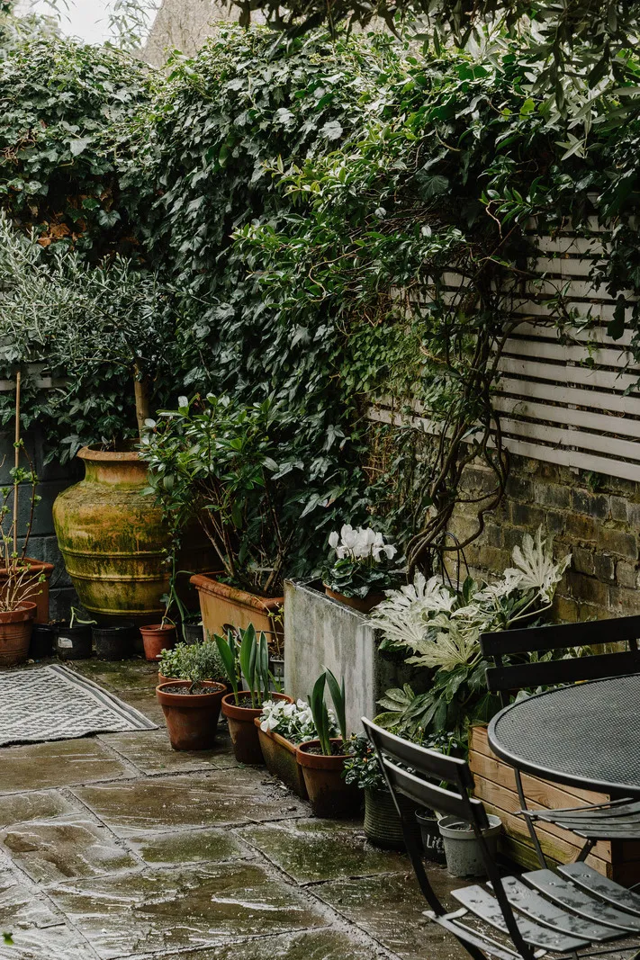 शास्त्रीय स्थापत्य की सुंदरता: इंग्लैंड में 19वीं शताब्दी का घर - Gallery image 20