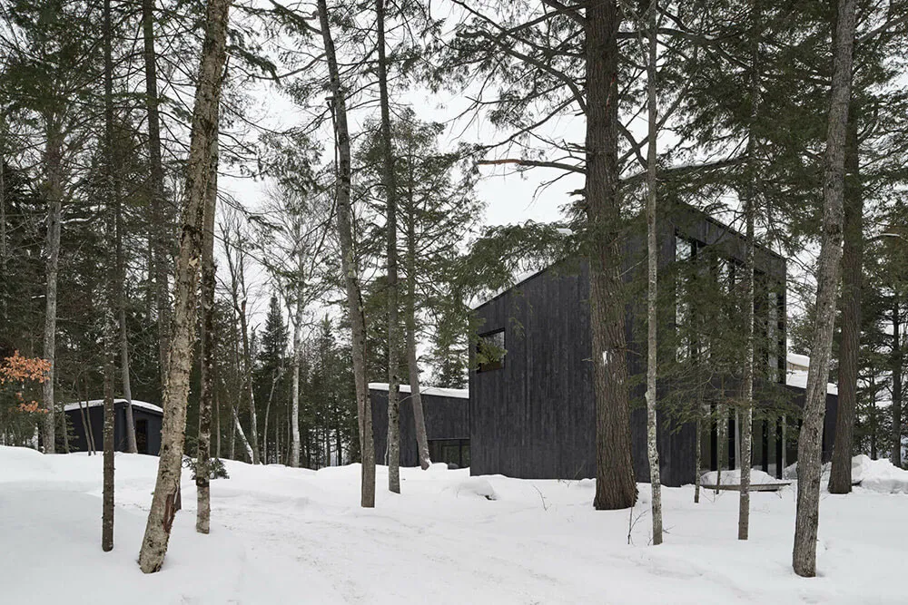 Belleza de la piedra oscura en el diseño de una casa moderna en el bosque de Canadá - Gallery image 21