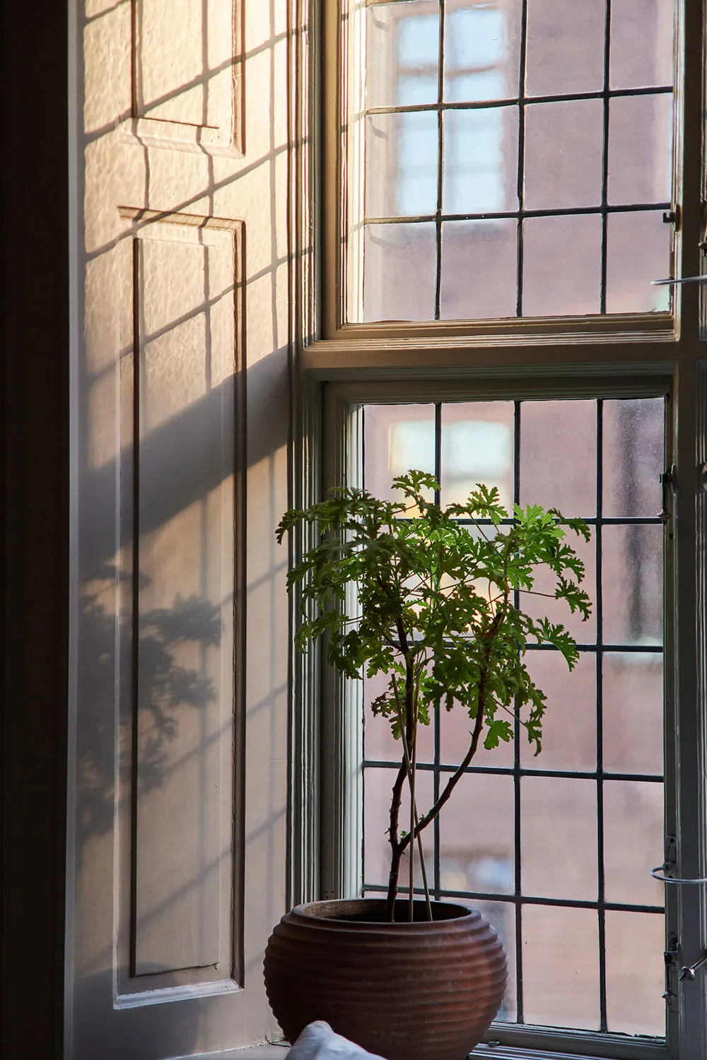 Paredes de café y decoración escandinava acogedora: apartamento en Estocolmo - Gallery image 7