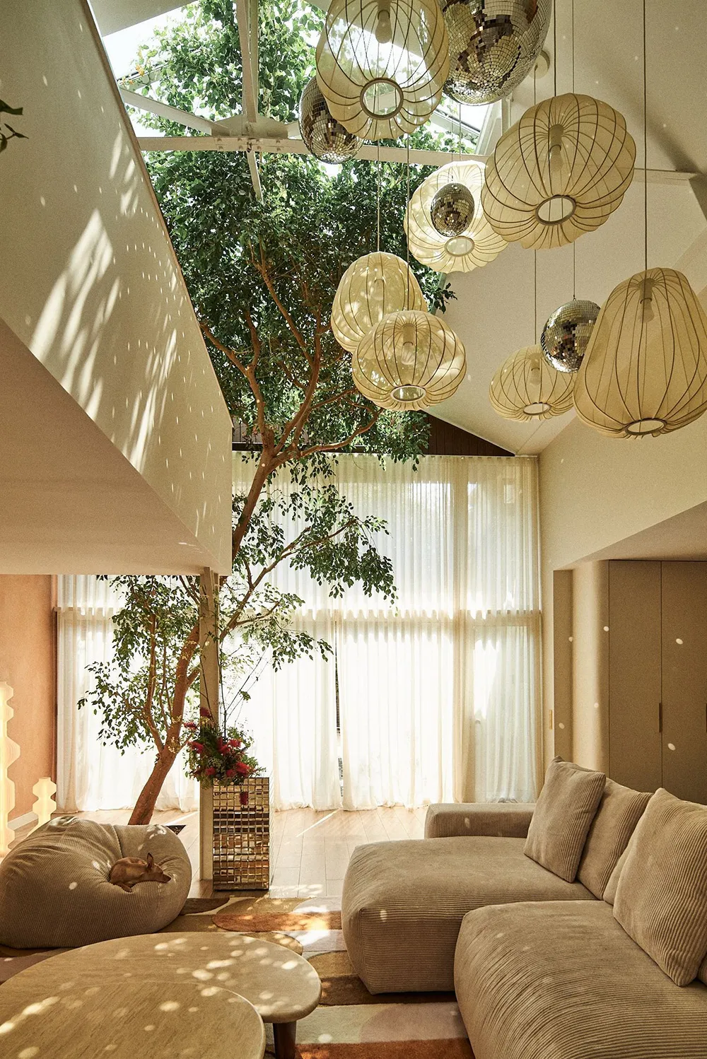 पेरिस में एक अद्भुत घर… जिसके अंदर एक जीवित पेड़ है! - Gallery image 1