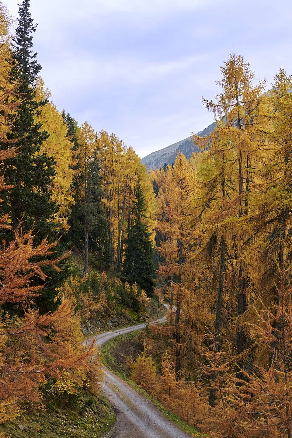 Modernes Bergwohnhaus auf dem Platz eines traditionellen Hüttenhauses in den italienischen Alpen - Gallery image 12