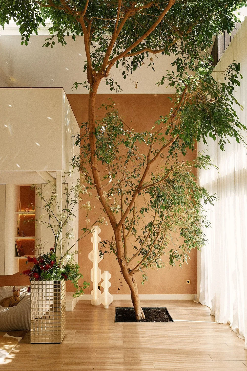 पेरिस में एक अद्भुत घर… जिसके अंदर एक जीवित पेड़ है! - Gallery image 2