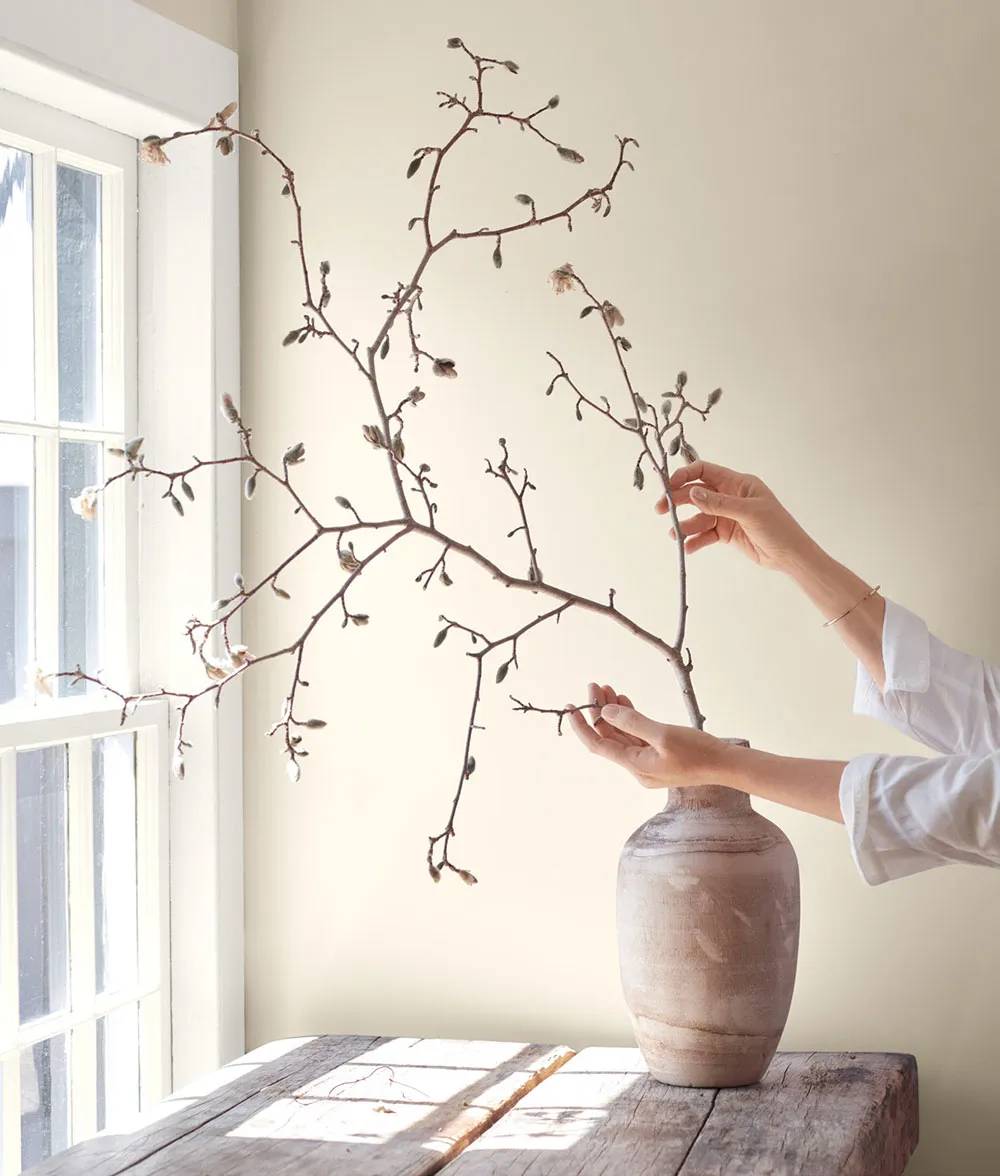 Welche Innengartenfarben im Jahr 2022 modisch sein werden: Benjamin Moore Vorhersage - Gallery image 6