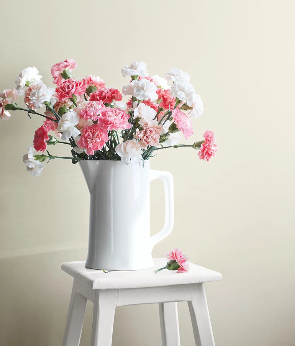 Welche Innengartenfarben im Jahr 2022 modisch sein werden: Benjamin Moore Vorhersage - Gallery image 11