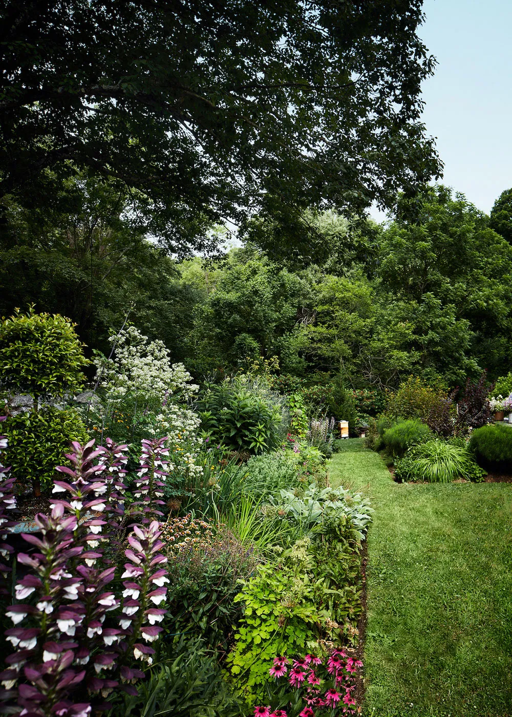Acogedora casa americana en medio de la vegetación - Gallery image 18