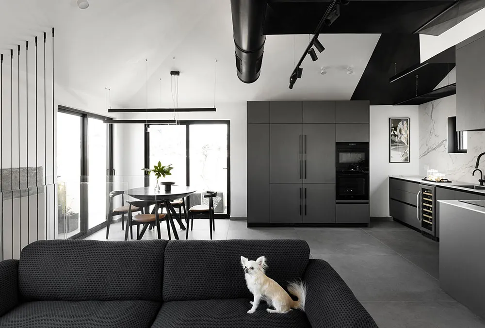 Black and White Minimalism in Duplex Design in Tel Aviv - Gallery image 2