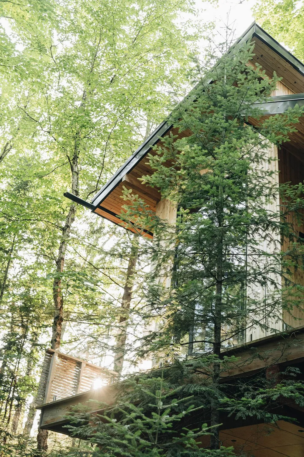 Die Kindheitstraum verwirklichen: Holzhütte in Kanada - Gallery image 22