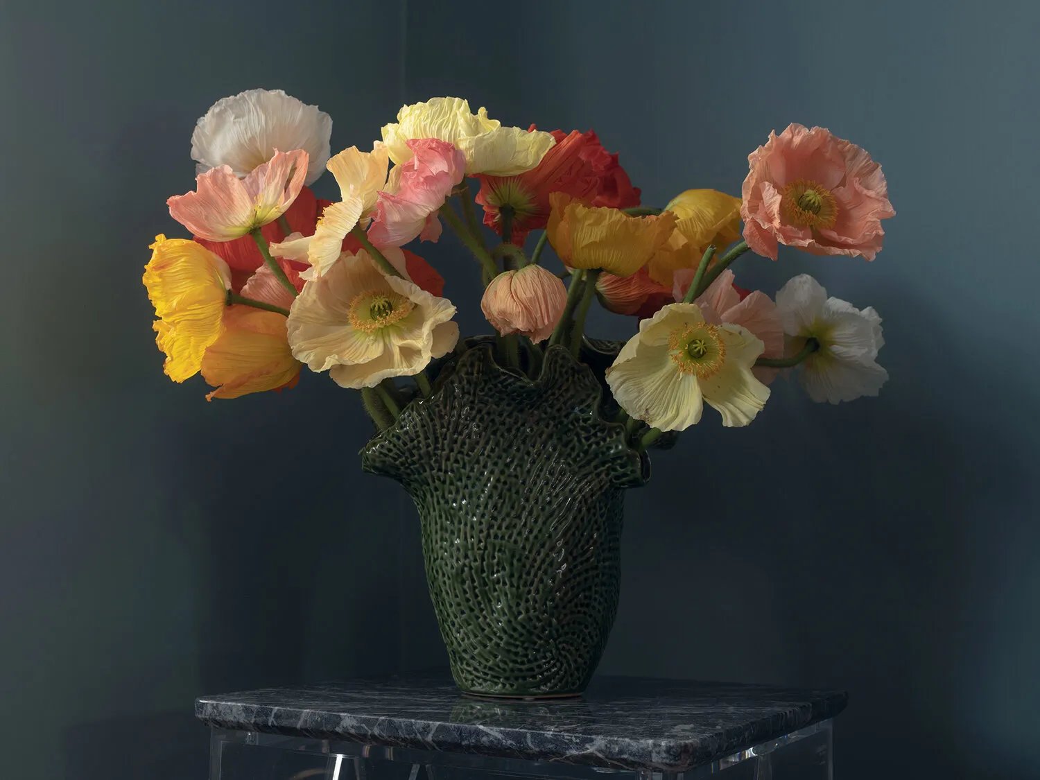 Ecléctica vibrante en el oeste de Londres - Gallery image 12