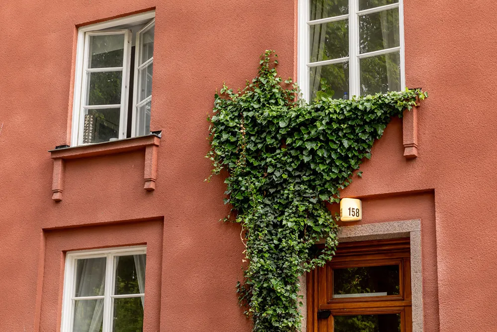 Bright Budget Student Apartment in Sweden (28 sqm) - Gallery image 21