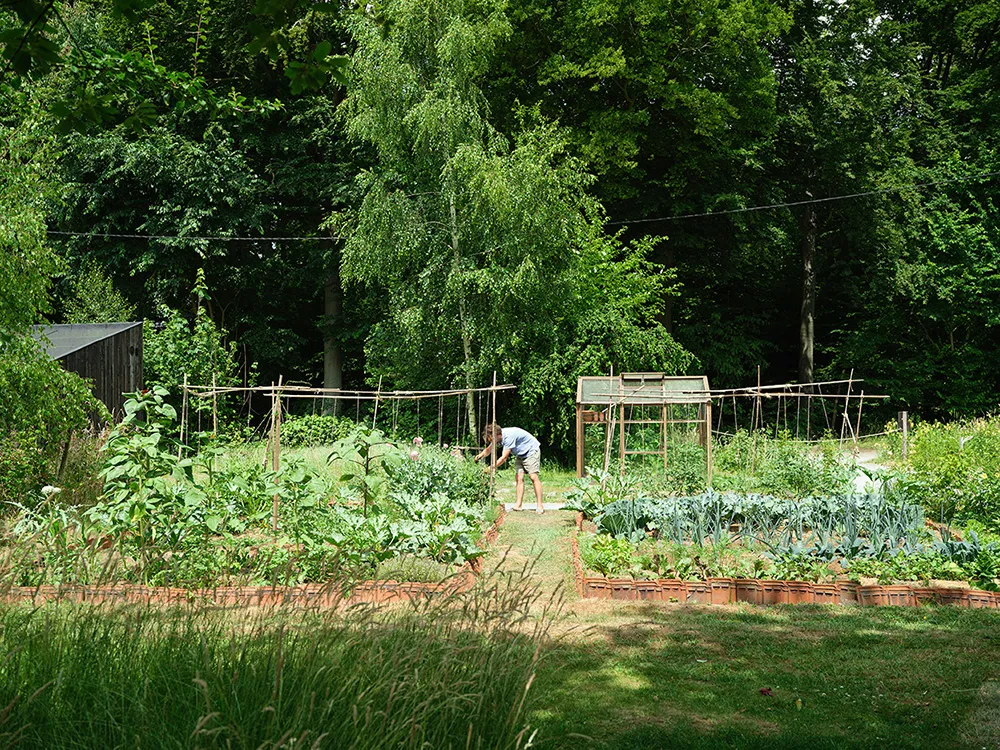 Ідеальна гармонія сучасного дизайну та дикої природи в Бельгії - Gallery image 11