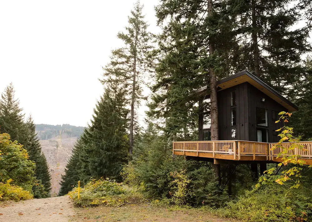 Como del infancia: pequeño pero funcional cobertizo en el árbol (46 m²) - Gallery image 15