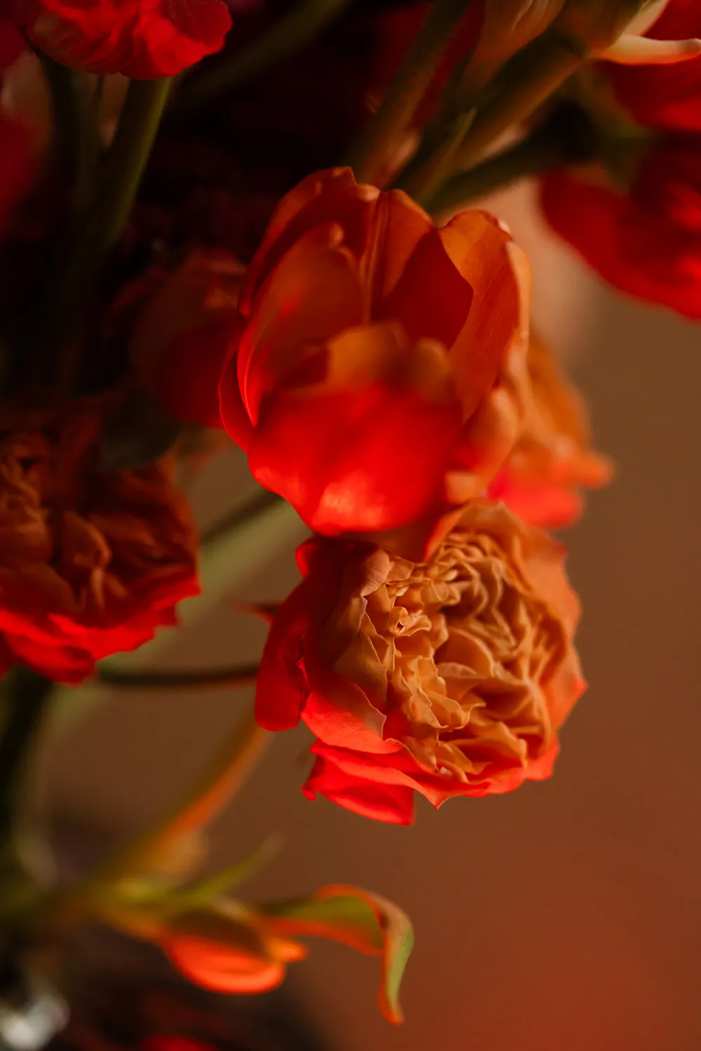 Interior industrial de moda para una familia en Poznan - Gallery image 11