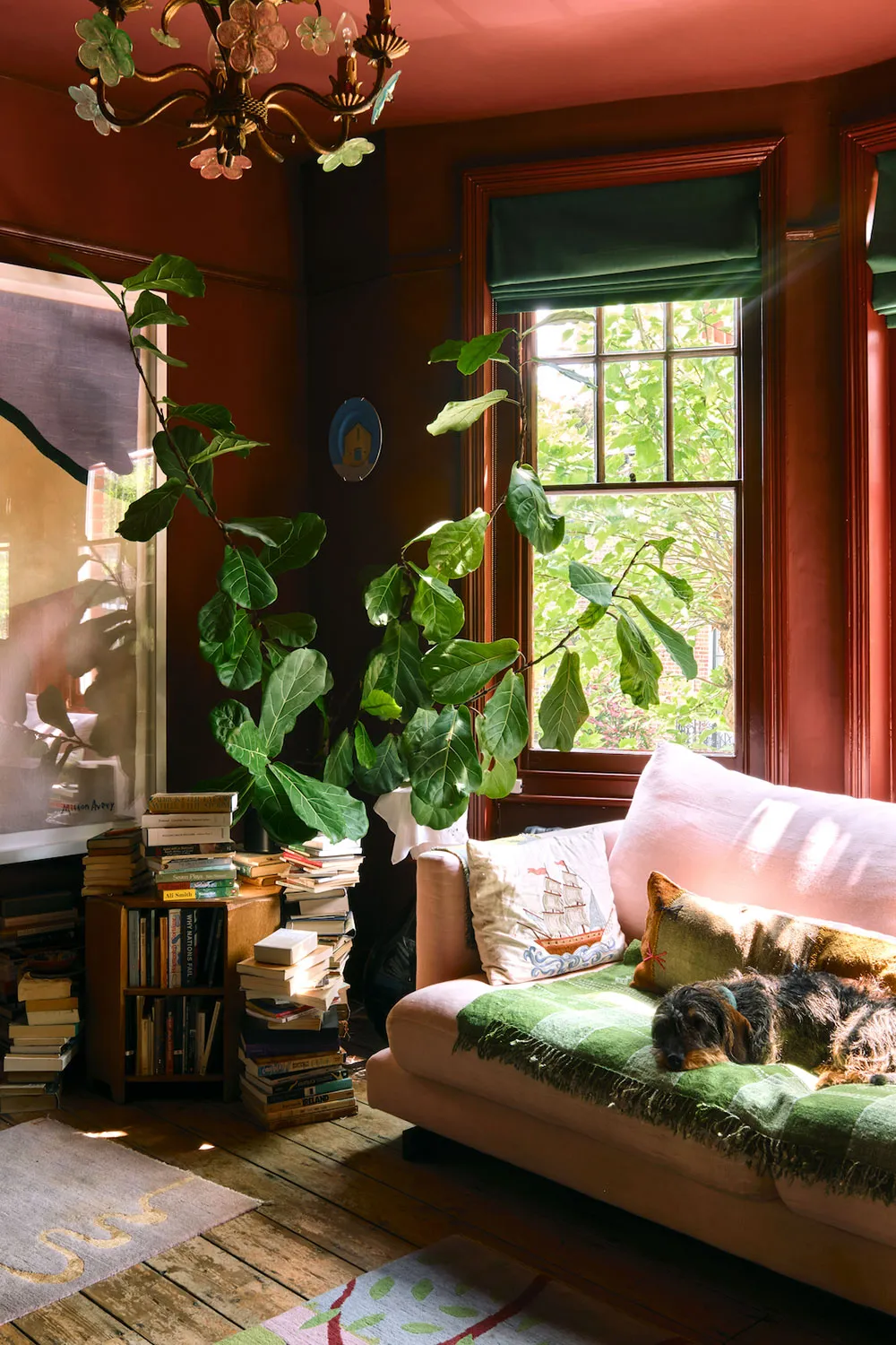 Відважні кольори та декор без часу: будинок у Лондоні - Gallery image 1