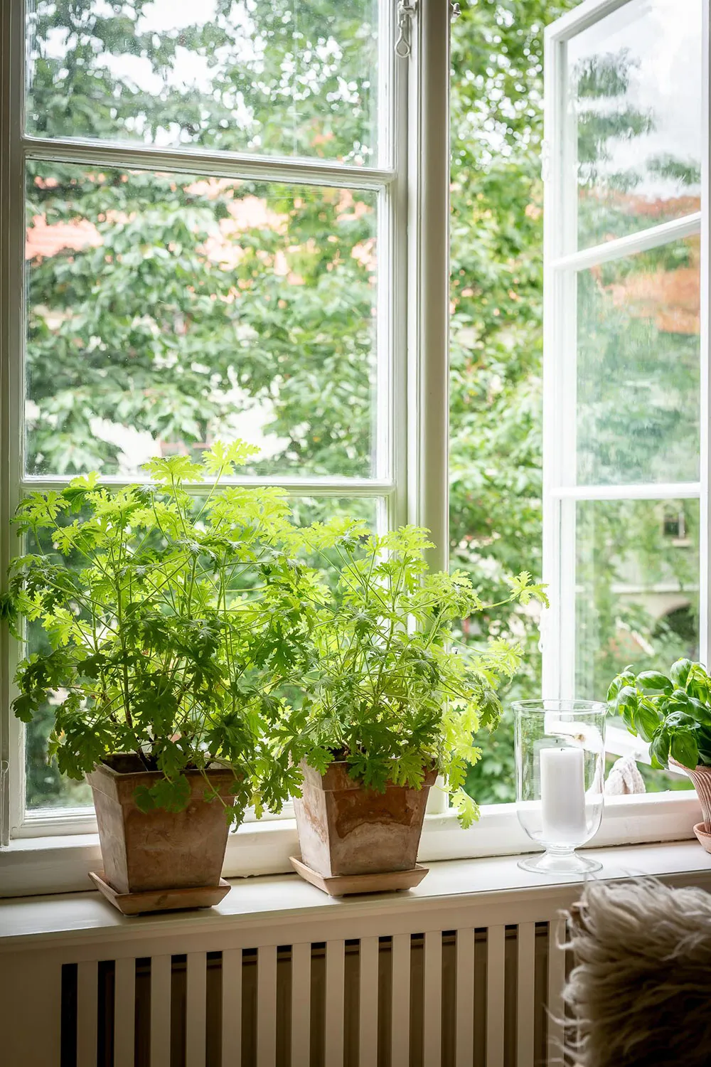 Interior suave y acogedor de una pequeña apartamento sueco (39 m²) - Gallery image 20