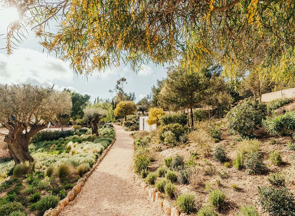 Vue moderne sur la finca traditionnelle sur l'île d'Ibiza - Gallery image 21