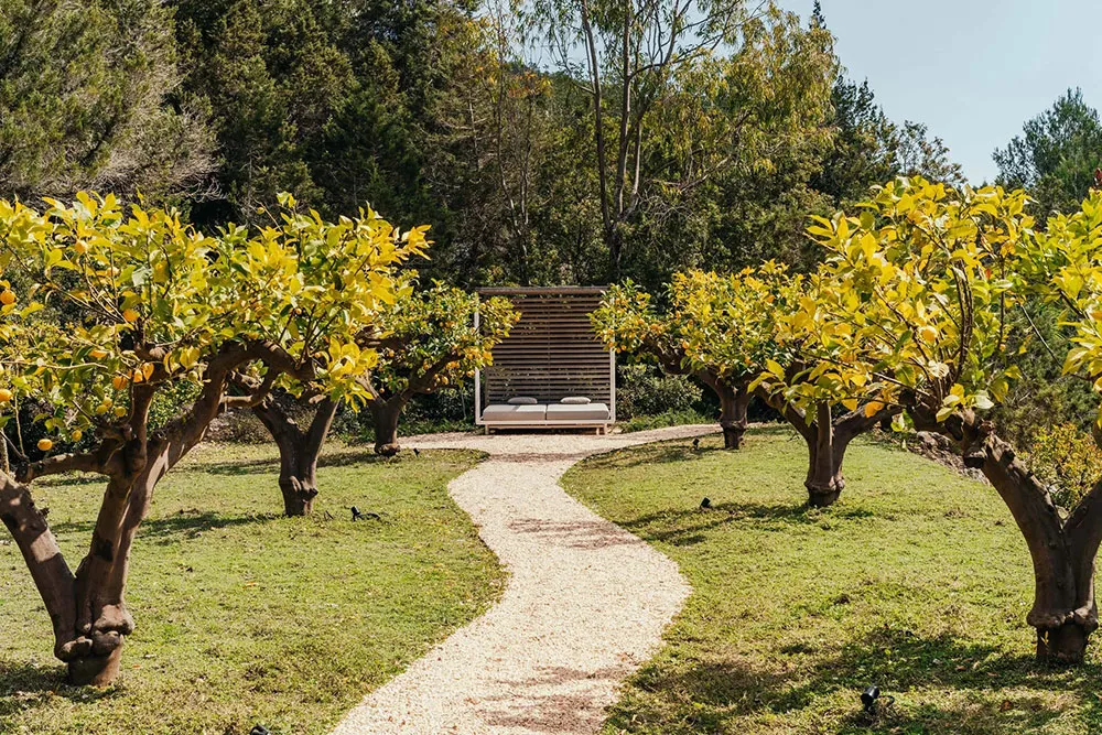 Vue moderne sur la finca traditionnelle sur l'île d'Ibiza - Gallery image 20