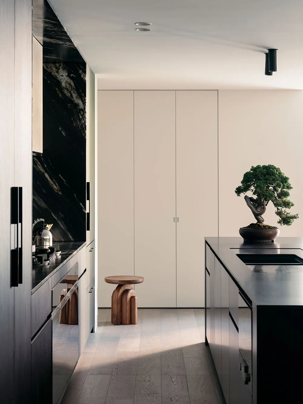 Pierre naturelle et accents noirs : appartements élégants avec jardin à Sydney - Gallery image 2