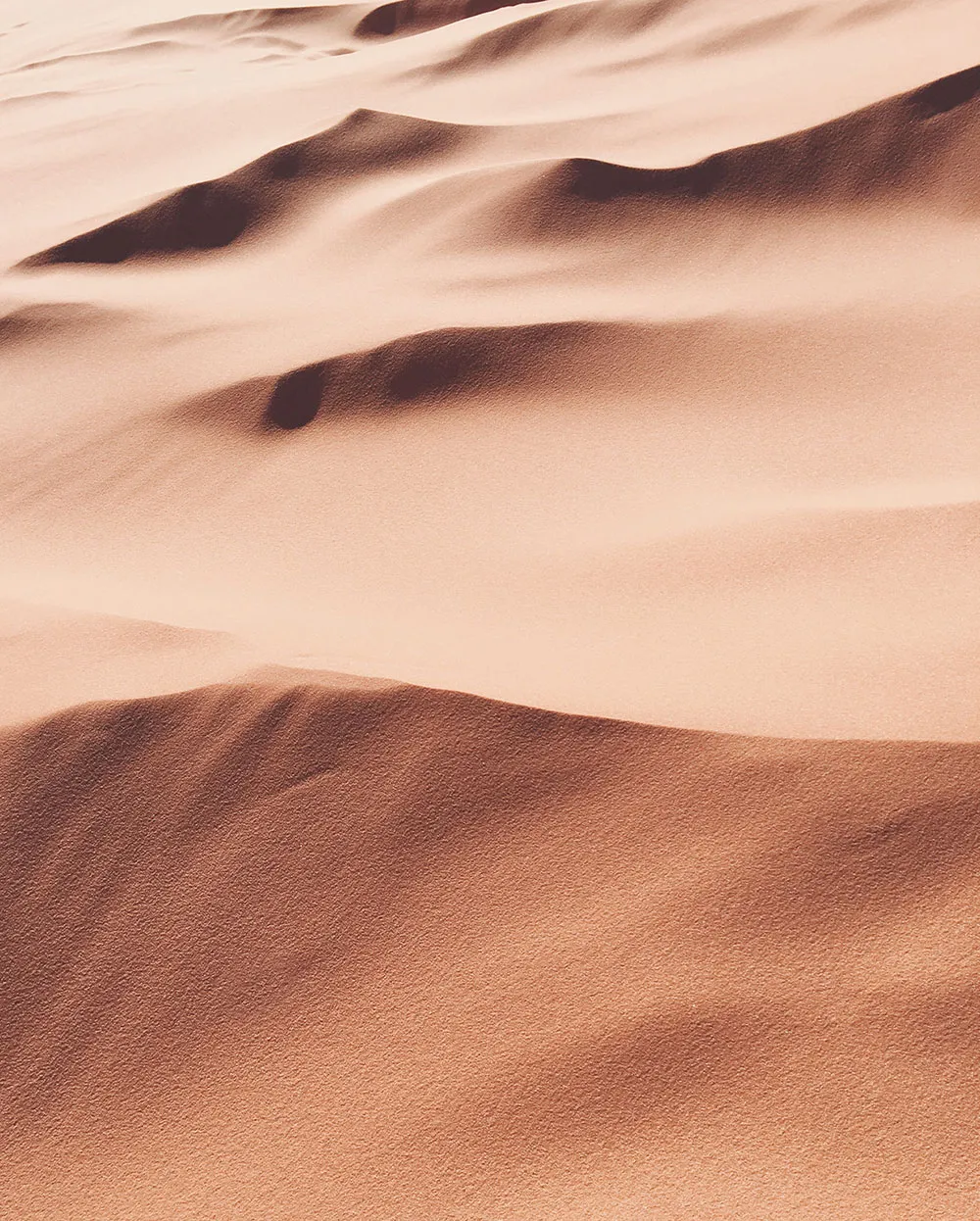 Color Inspiration: Trendy Interior Paints in 2023 from Sherwin-Williams - Gallery image 6