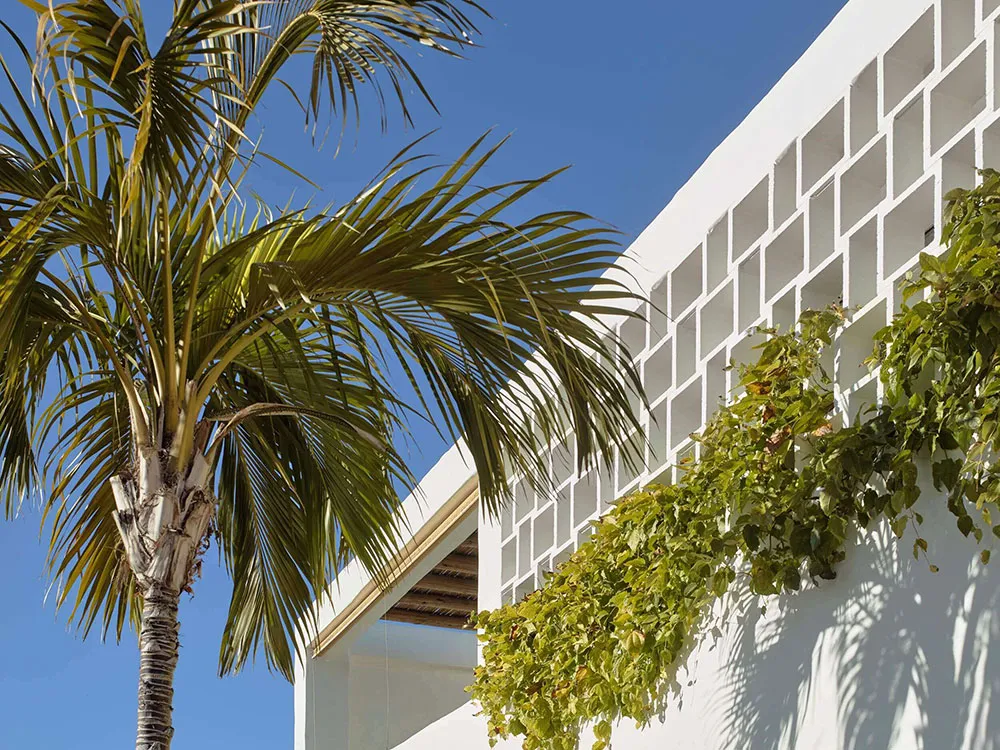 Середземноморські мотиви в дизайні сучасного пляжного будинку в Сіднеї - Gallery image 2