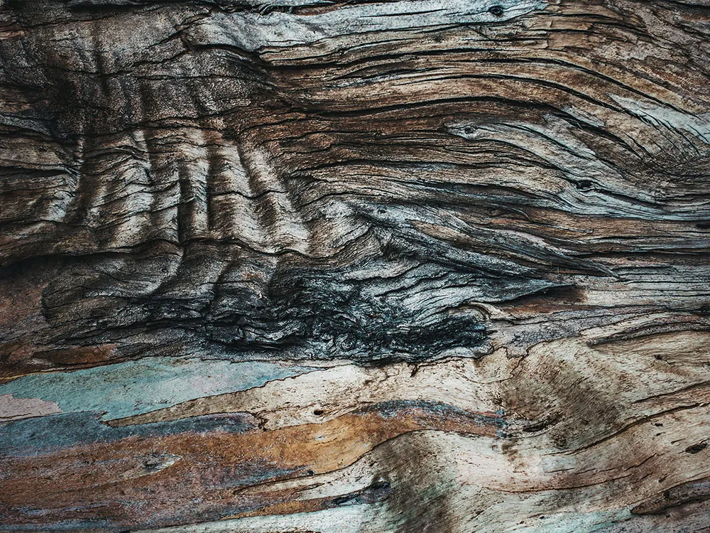 Color Inspiration: Trendy Interior Paints in 2023 from Sherwin-Williams - Gallery image 9