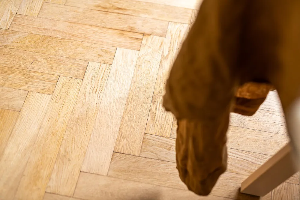 Acentes cálidos de terracota y otros en el diseño de un apartamento pequeño (49 m²) - Gallery image 16