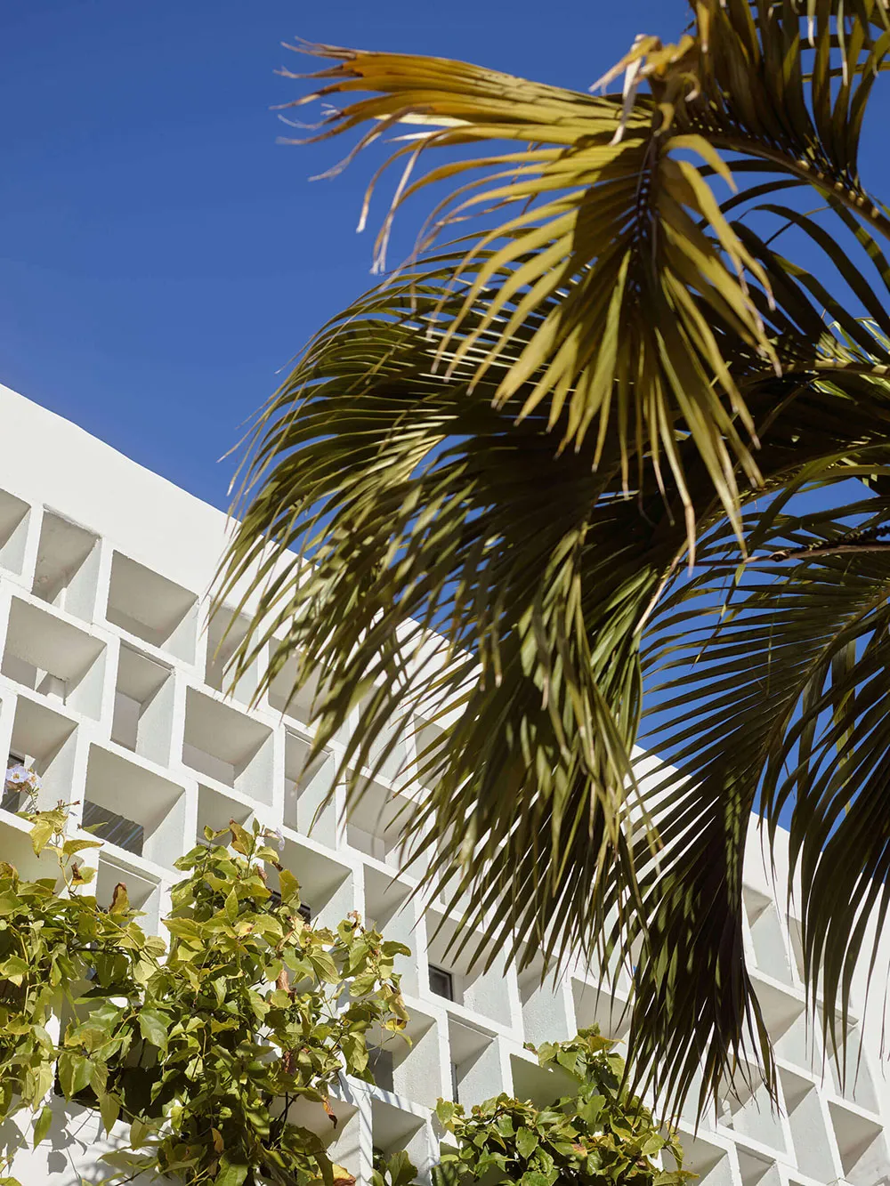 Середземноморські мотиви в дизайні сучасного пляжного будинку в Сіднеї - Gallery image 22