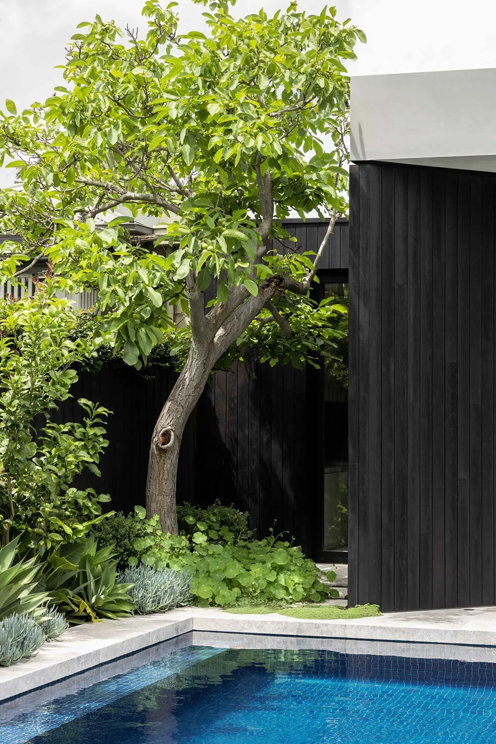 Викторианский дом в Мельбурне с изящными современными интерьерами - Gallery image 21