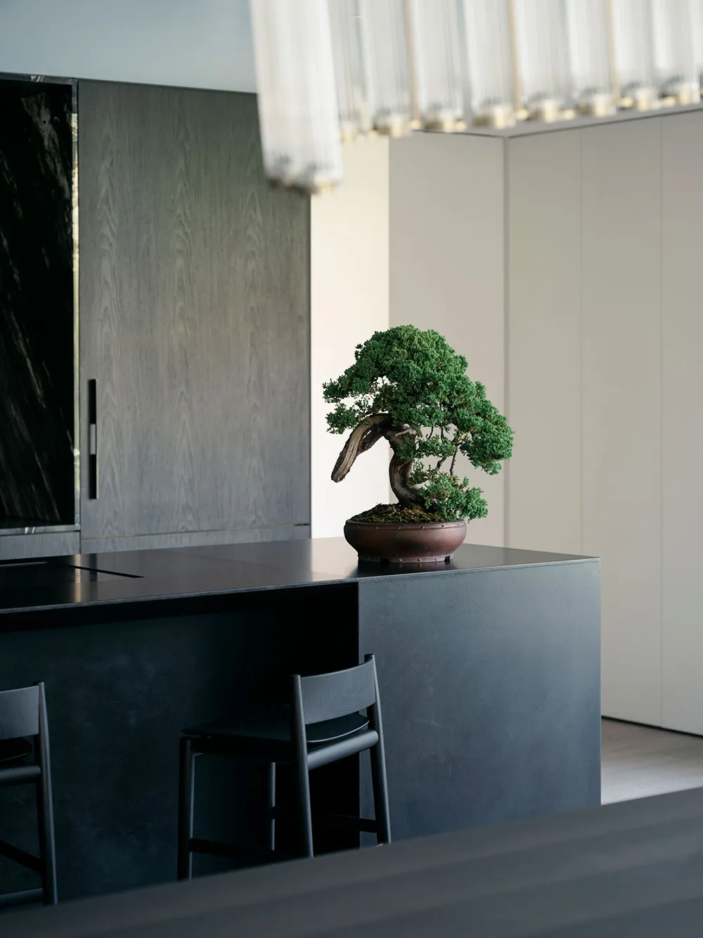 Pierre naturelle et accents noirs : appartements élégants avec jardin à Sydney - Gallery image 6