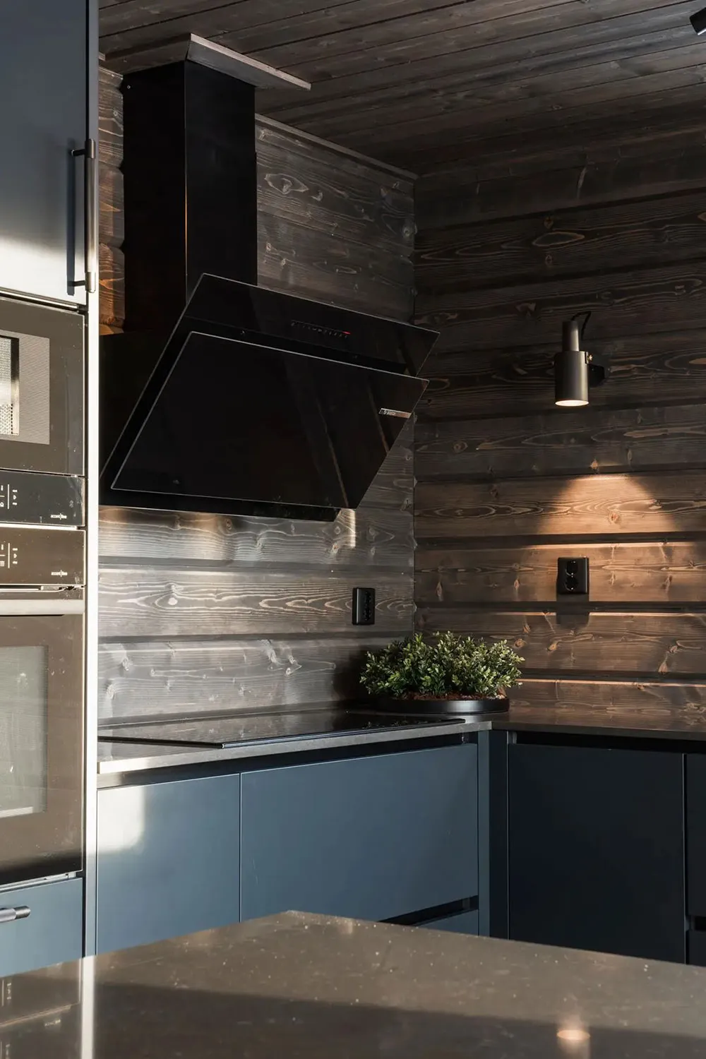 Сучасне скандинавське шале з темною деревиною - Gallery image 9