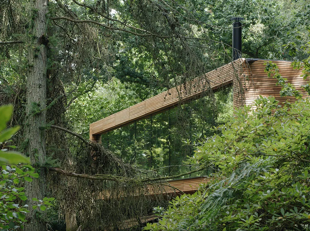 Kleine Hütte im Wald mit Glaswänden und stilvollem Design - Gallery image 18