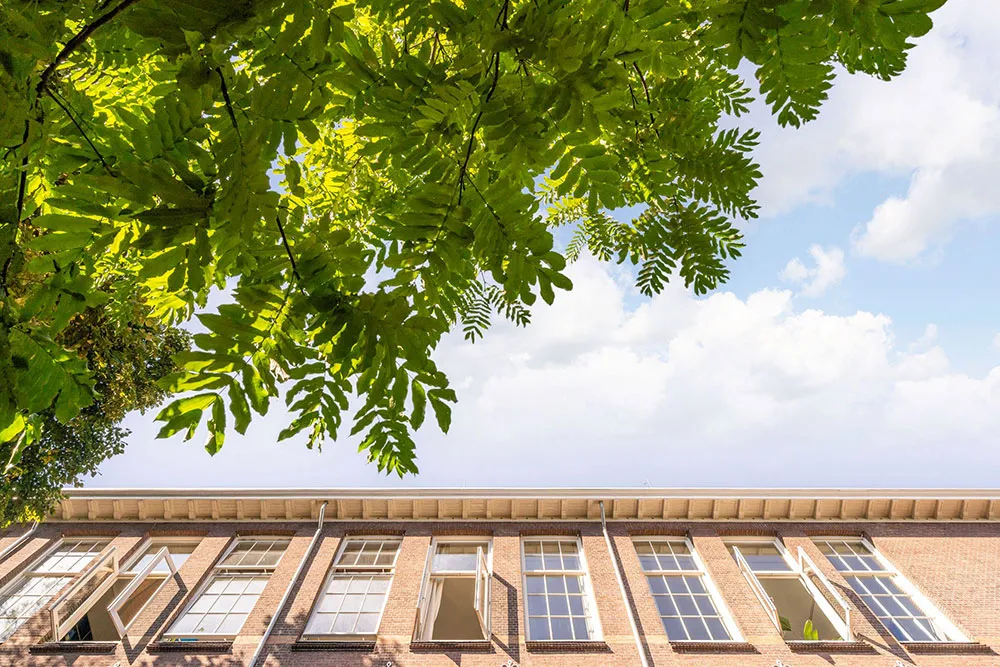 Bright Loft in Old School Building in Rotterdam - Gallery image 4