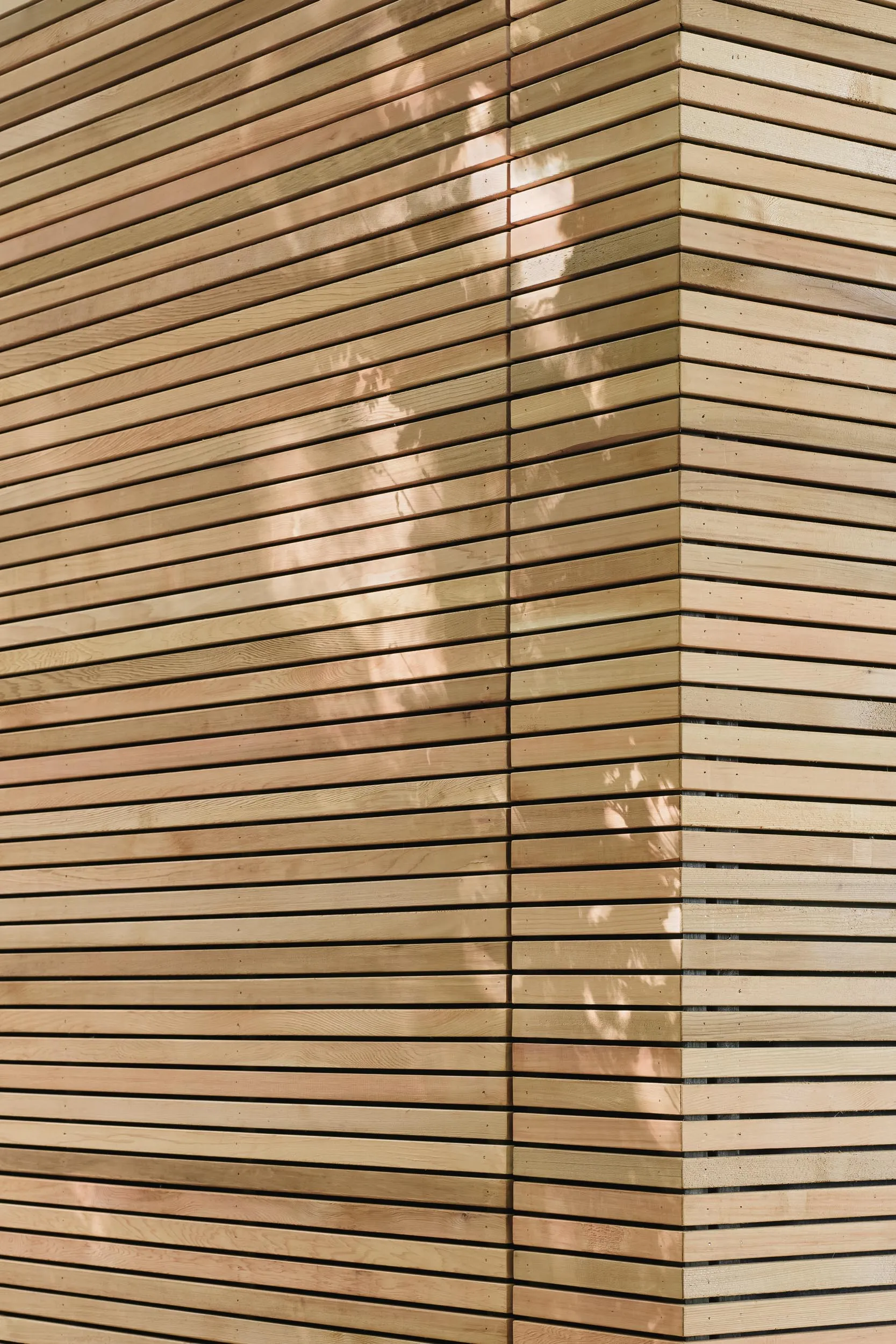 Kleine Hütte im Wald mit Glaswänden und stilvollem Design - Gallery image 17