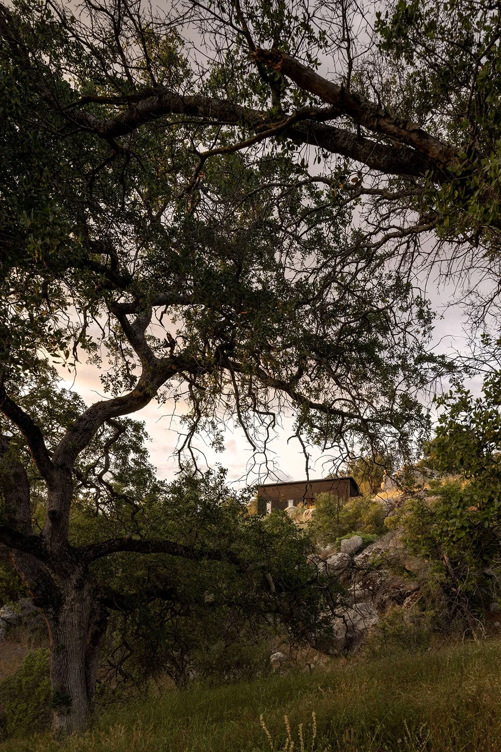 На вершине мира: дом рядом с национальным парком Йосемите - Gallery image 14