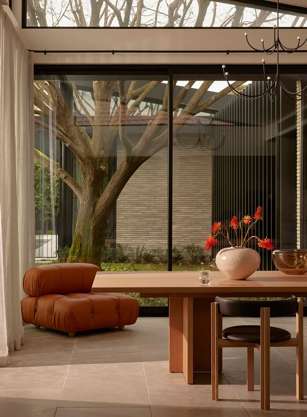 Modern House in Melbourne Built Around a Tree - Gallery image 1