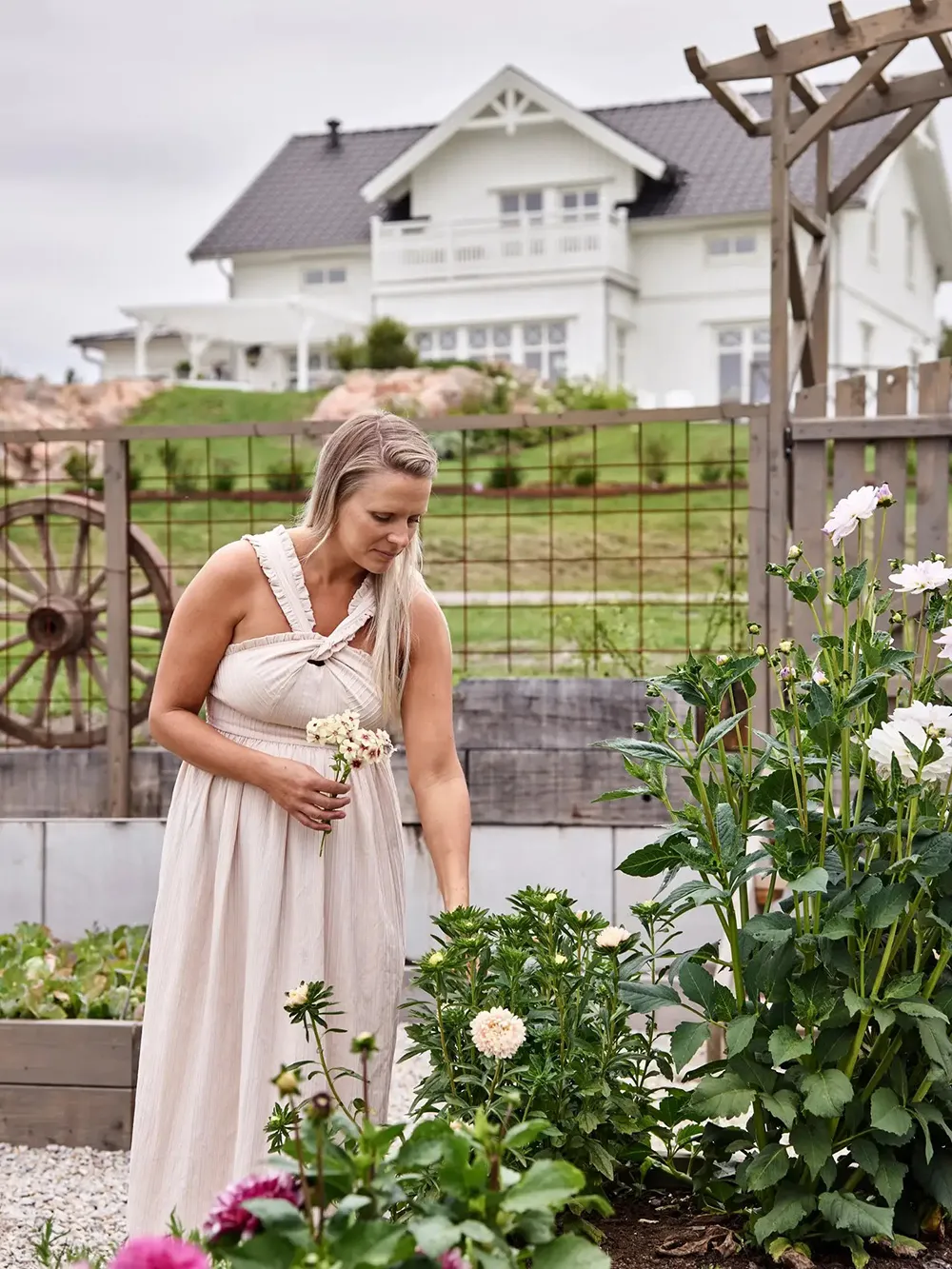 सुंदर स्कैंडिनेवियाई शैली में… पुराने खेत पर बना स्वीडिश कॉटेज! - Gallery image 1