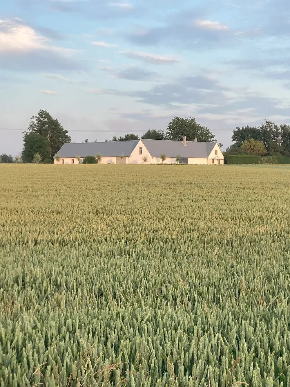 Просторные и тёплые интерьеры бывшей фермы в Швеции - Gallery image 6