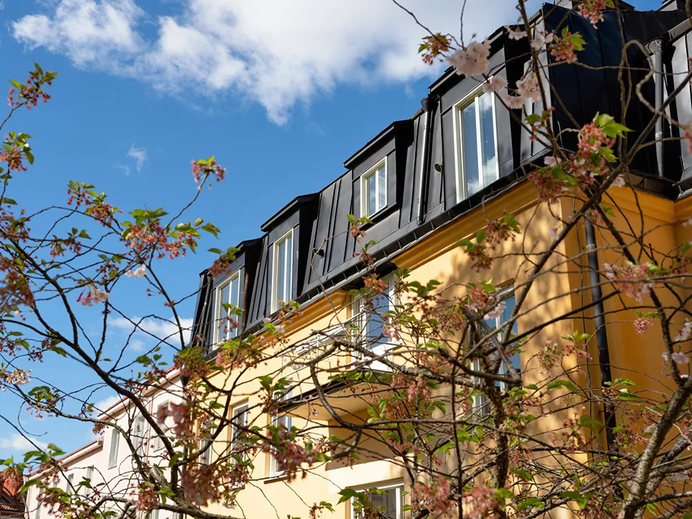 Однокомнатная квартира в Швеции с красивым оттенком стен (41 кв. м) - Gallery image 18