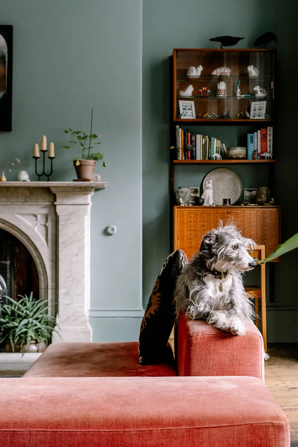 Grün-Unterschiede in den Interieurs eines georgianischen Townhouses in Liverpool - Gallery image 3
