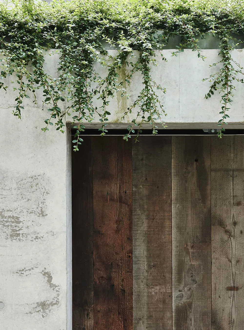 Casa moderna en Australia integrada con la naturaleza - Gallery image 17