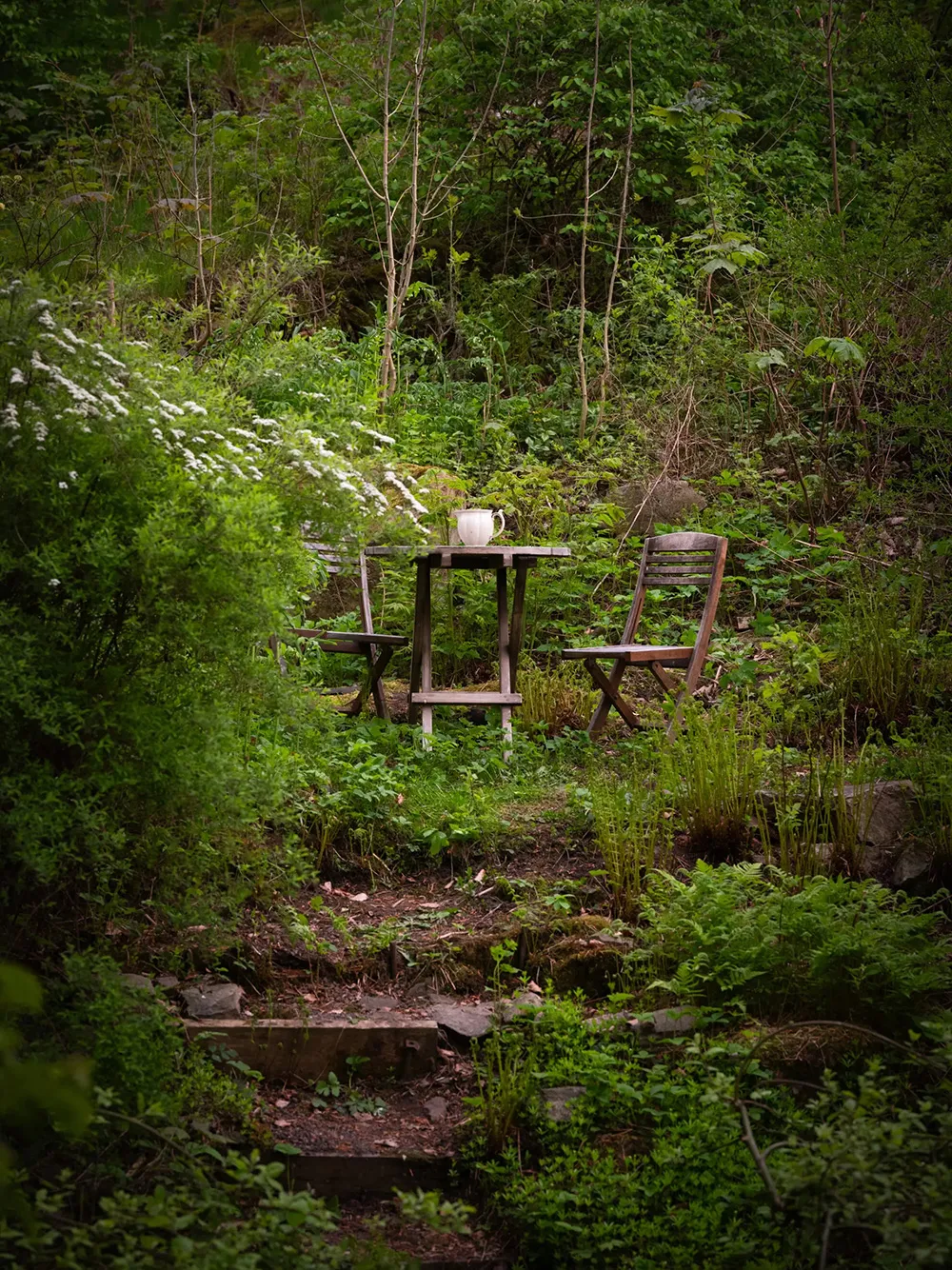 Charmante kleiner Kottend in Schweden (25 qm) - Gallery image 13