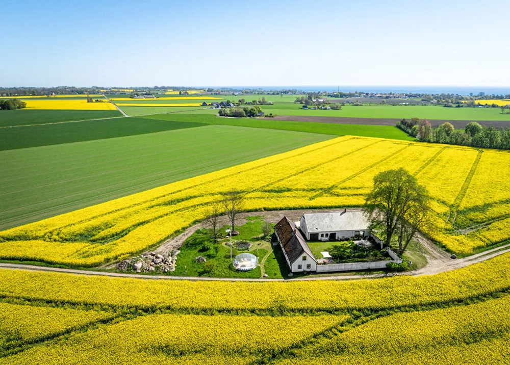 White Interiors of a Historic Farm Near the Sea in Sweden - Gallery image 2