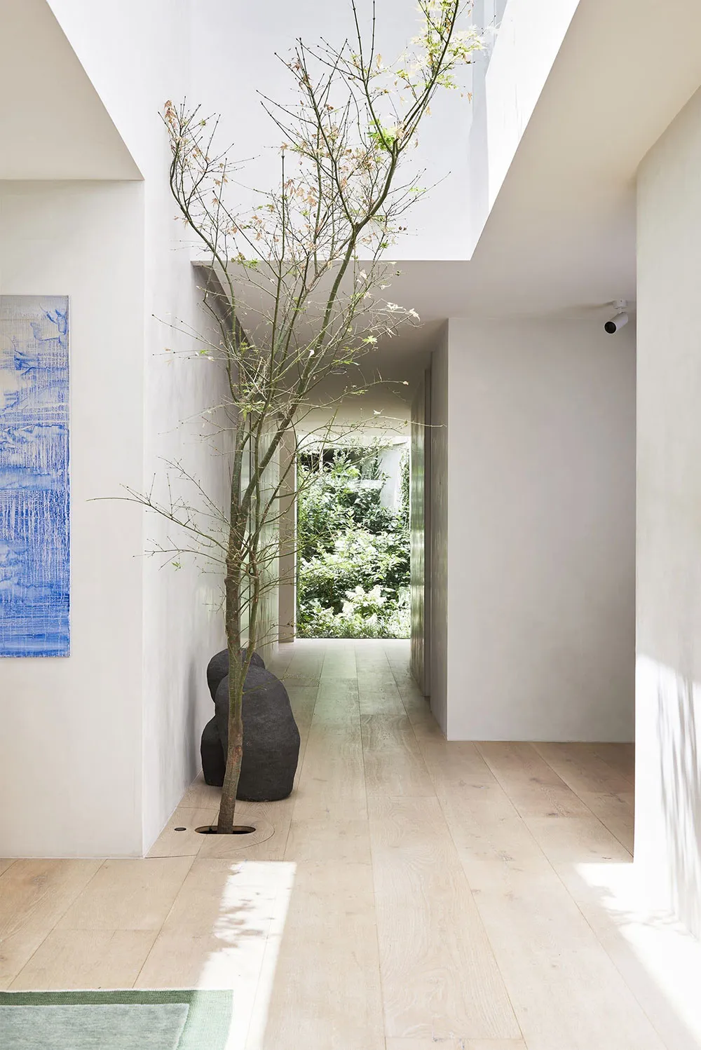 Casa moderna en Australia integrada con la naturaleza - Gallery image 11