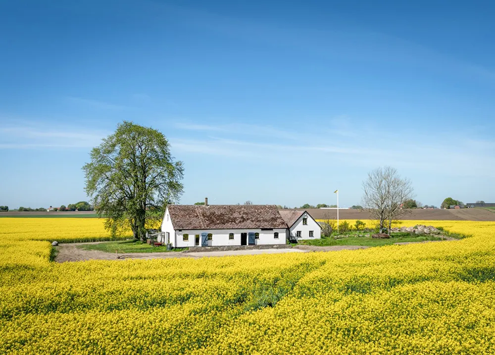 White Interiors of a Historic Farm Near the Sea in Sweden - Gallery image 20