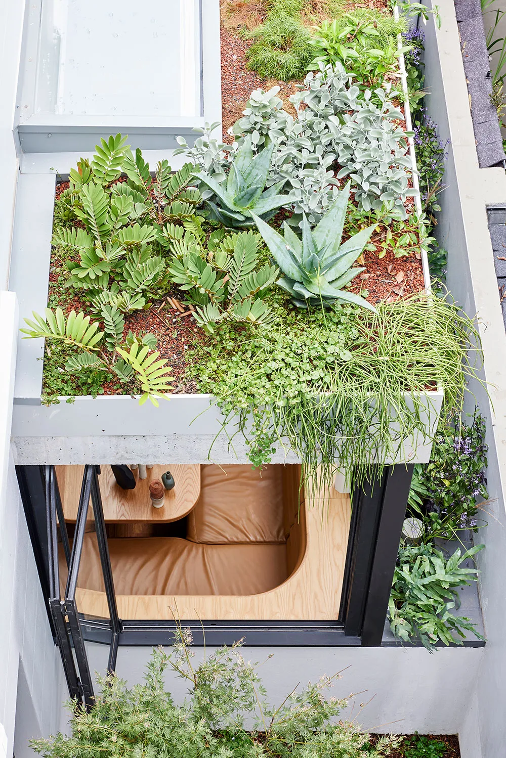 モダンでエレガント:シドニーにあるヴィクトリア朝様式の家の内装リフォーム - Gallery image 20