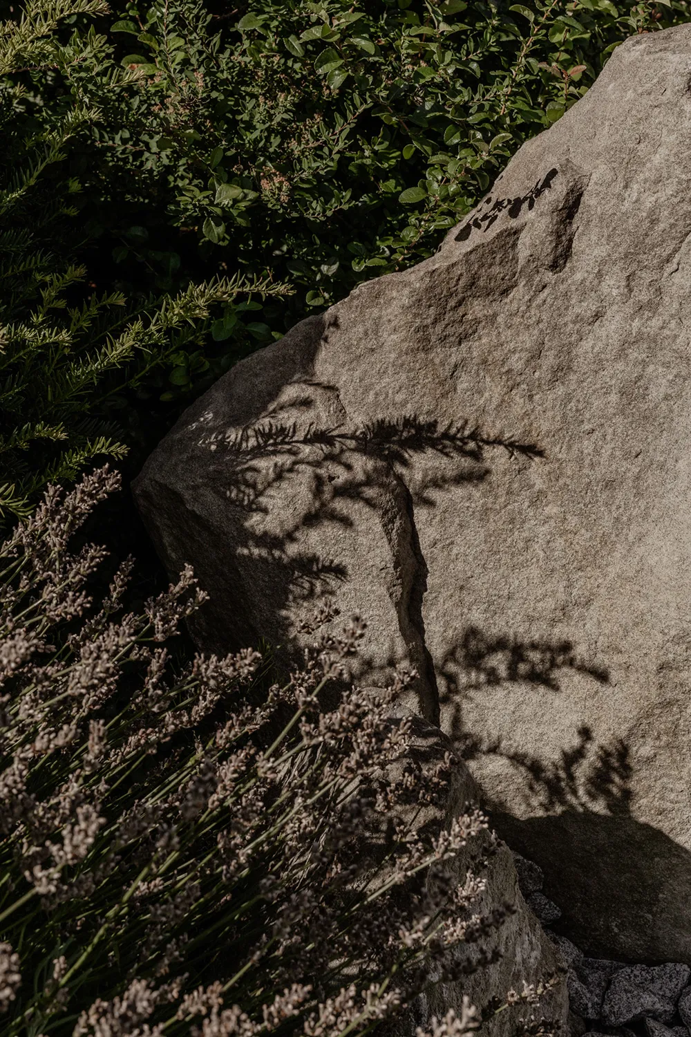 बर्लिन में अपार्टमेंट डिज़ाइन में प्राकृतिक एवं न्यूनतमवादी शैली  
(Natural and minimalistic design in apartment buildings in Berlin) - 25