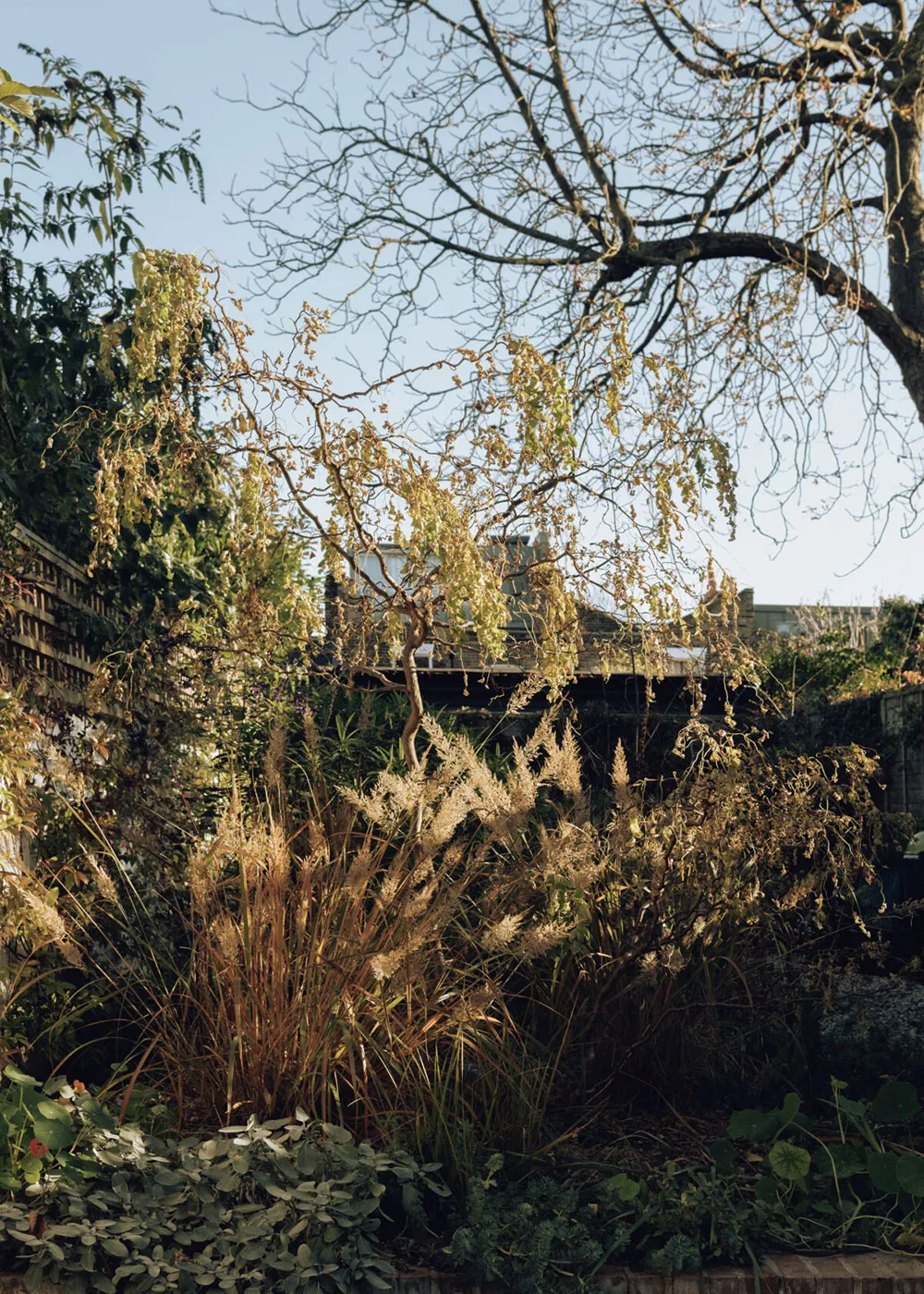 Noten des Moderne-Stils im Design eines viktorianischen Hauses des Fotografen in London - Gallery image 10