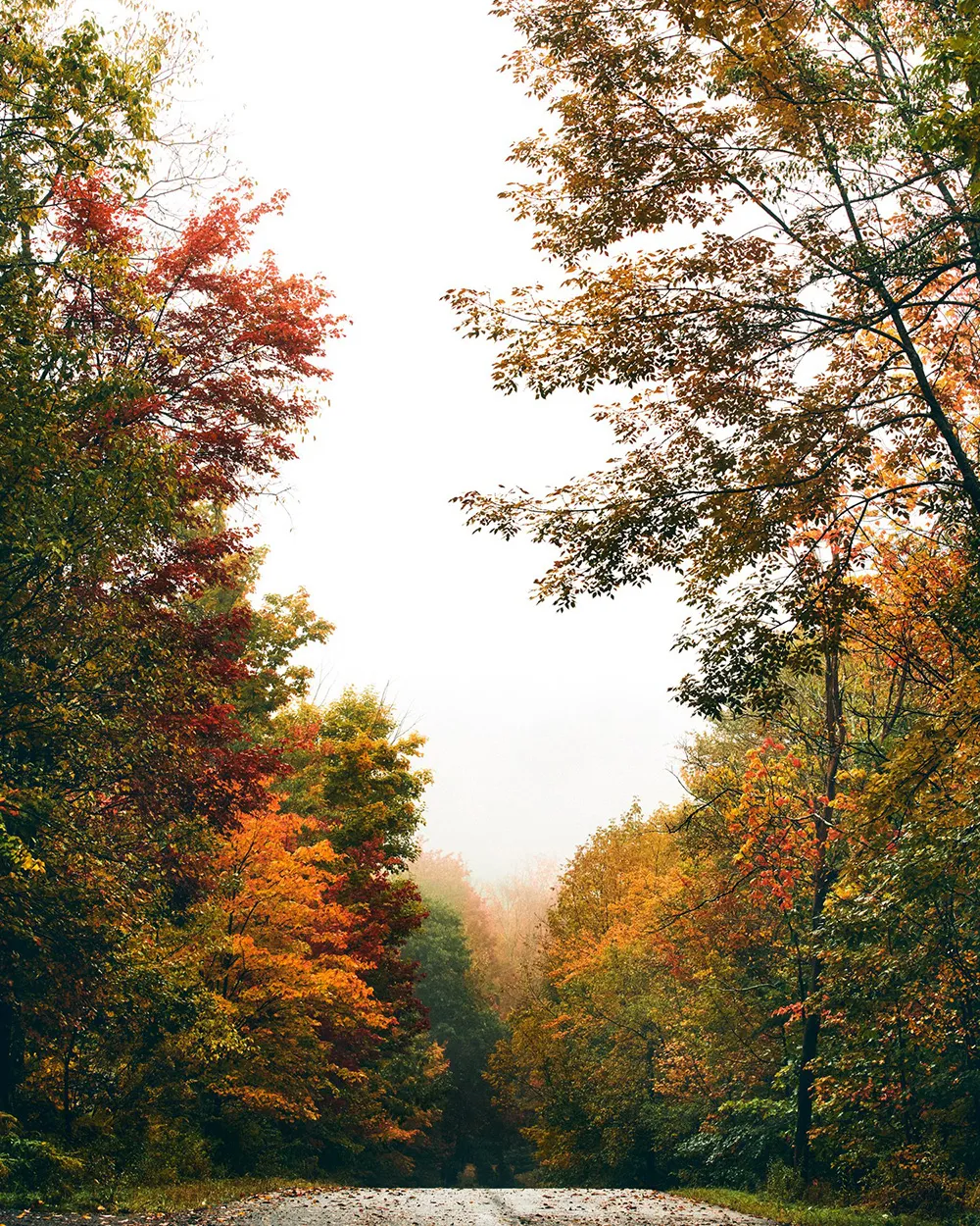 Intérieurs chaleureux d'un cottage inhabituel des années 1970 dans l'État de New York - Gallery image 12