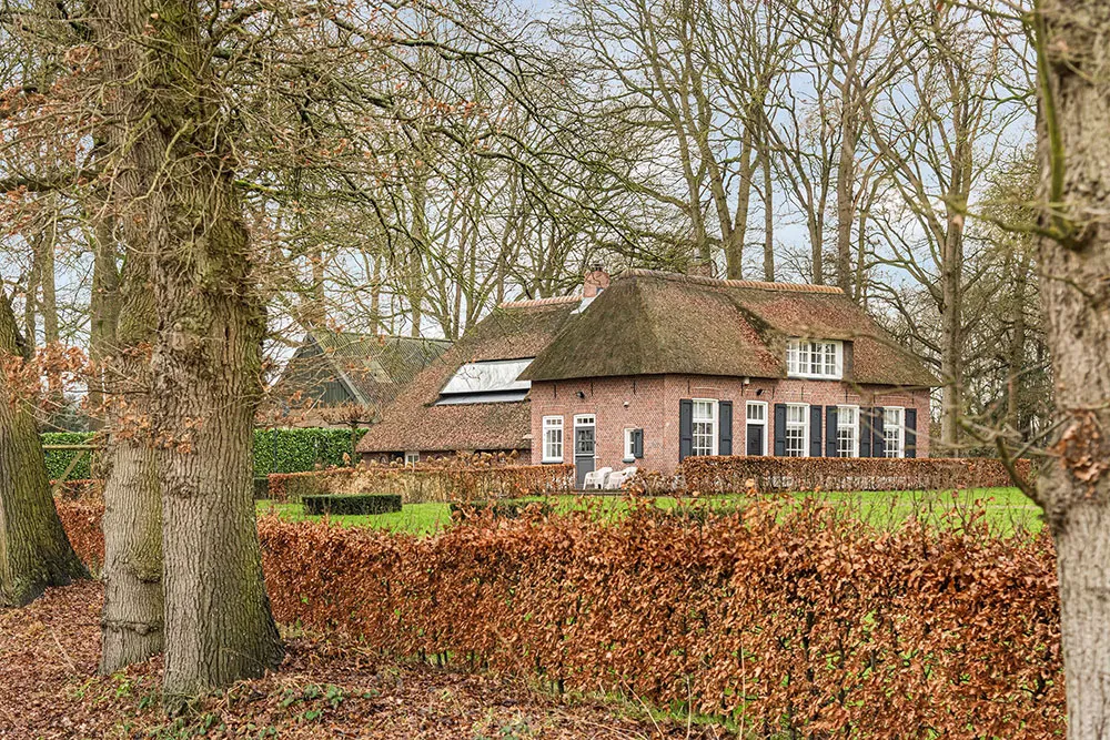 Балки та сучасний дизайн: чудовий хутір з солом'яною дахом у Нідерландах - Gallery image 18