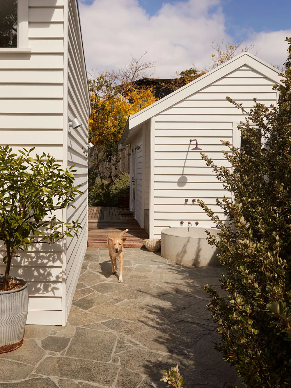 Ligereza y calor en el interior de un cottage de playa diseñado en Melbourne - Gallery image 15