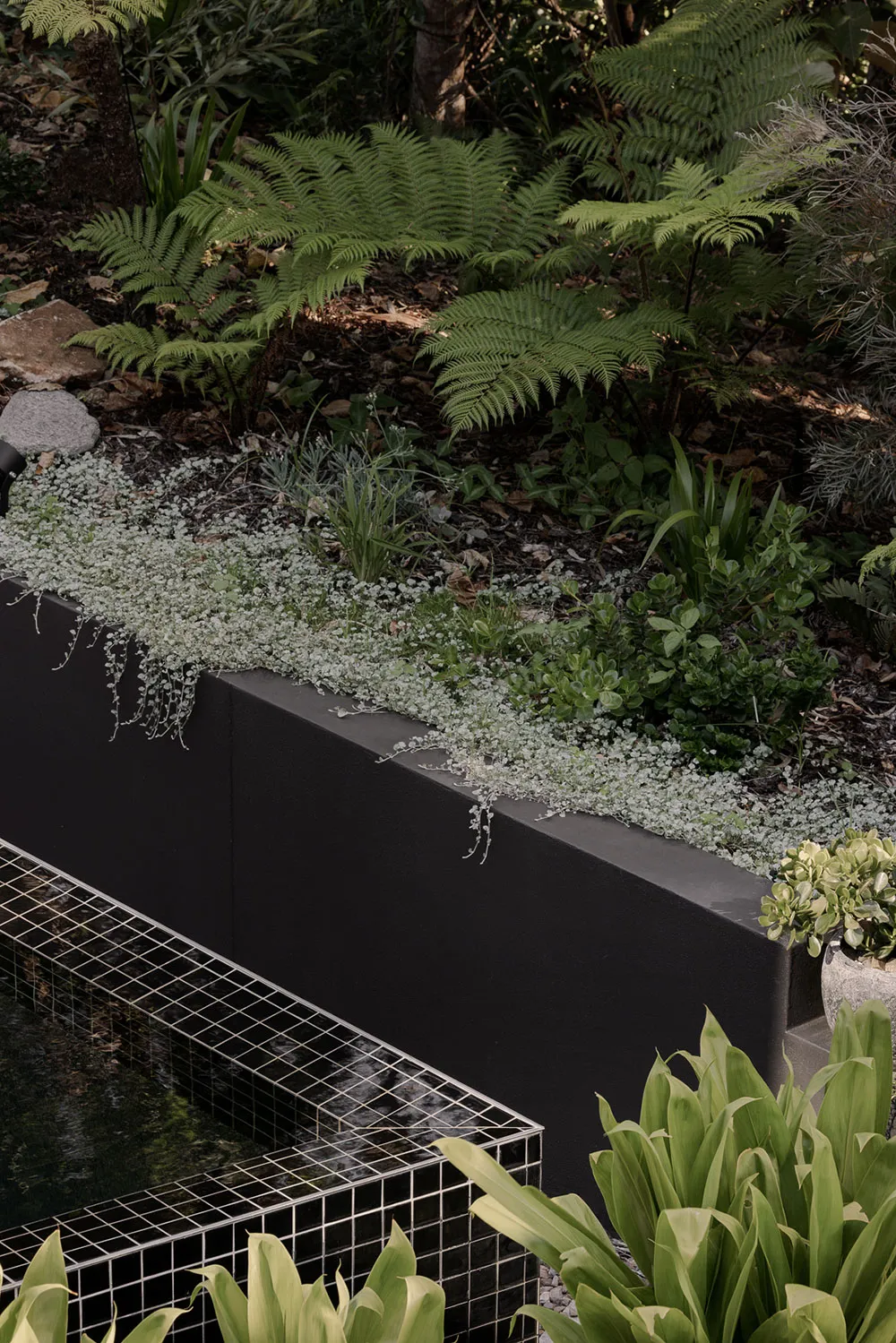 Atmospheric Modern Design in Harmony with Nature in Australia - Gallery image 3